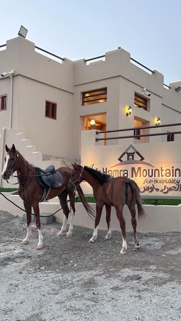 Hotel Al Hamra Mountain View Exterior foto